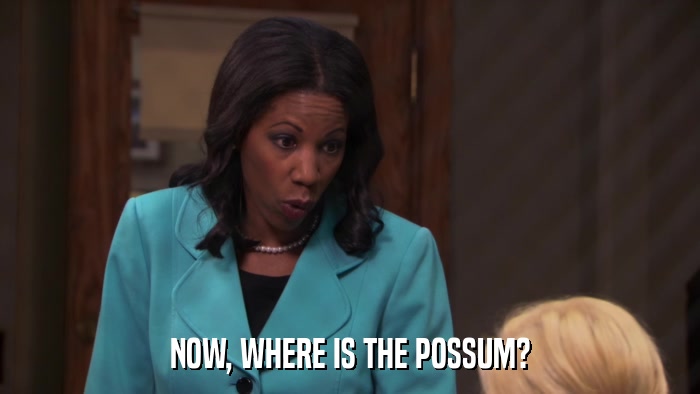 NOW, WHERE IS THE POSSUM?  