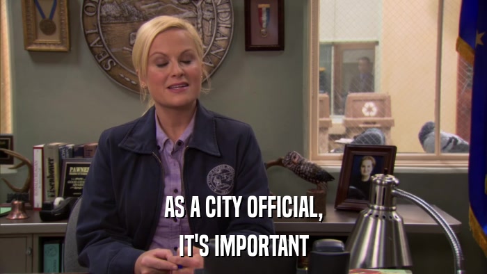 AS A CITY OFFICIAL, IT'S IMPORTANT 