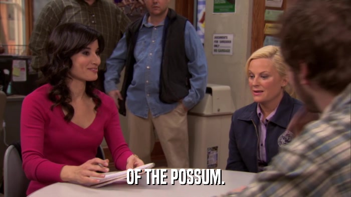 OF THE POSSUM.  