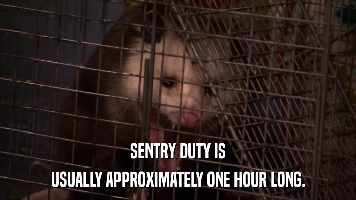 SENTRY DUTY IS USUALLY APPROXIMATELY ONE HOUR LONG. 