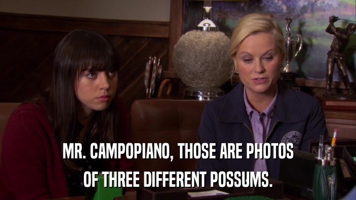 MR. CAMPOPIANO, THOSE ARE PHOTOS OF THREE DIFFERENT POSSUMS. 