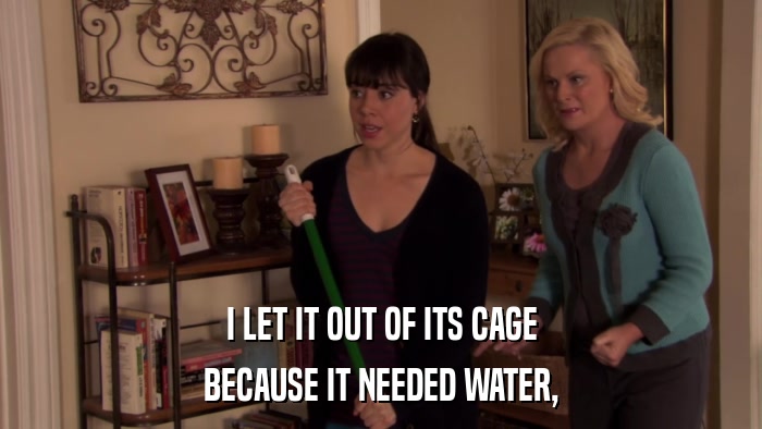 I LET IT OUT OF ITS CAGE BECAUSE IT NEEDED WATER, 