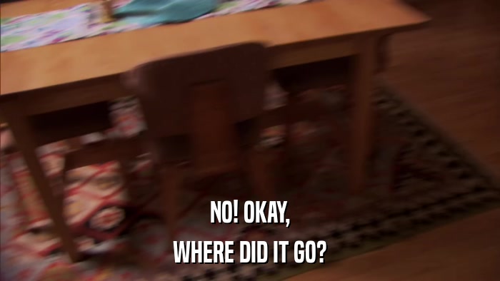 NO! OKAY, WHERE DID IT GO? 