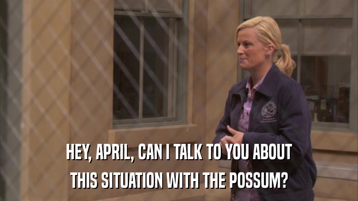 HEY, APRIL, CAN I TALK TO YOU ABOUT THIS SITUATION WITH THE POSSUM? 