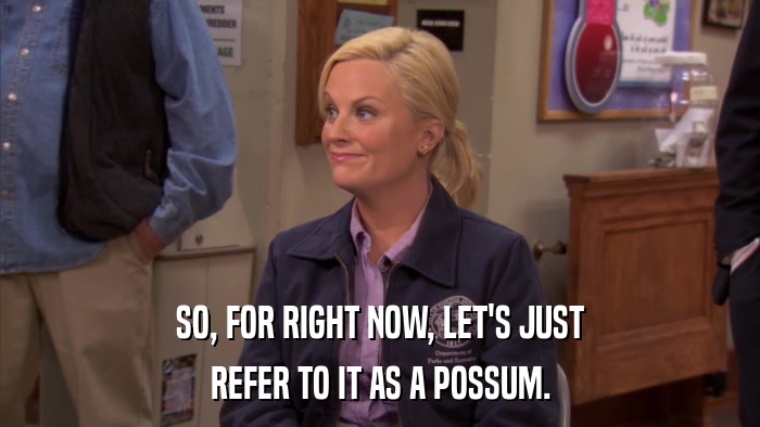 SO, FOR RIGHT NOW, LET'S JUST REFER TO IT AS A POSSUM. 