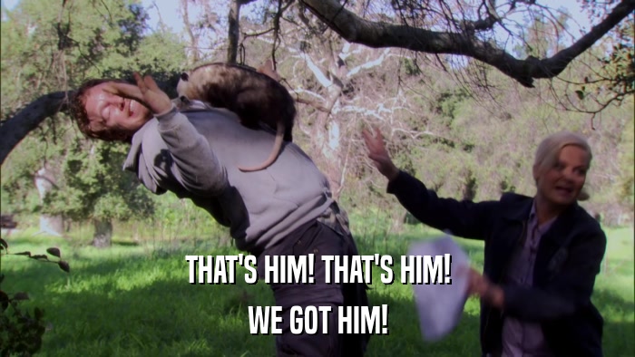 THAT'S HIM! THAT'S HIM! WE GOT HIM! 