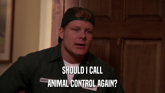SHOULD I CALL ANIMAL CONTROL AGAIN? 