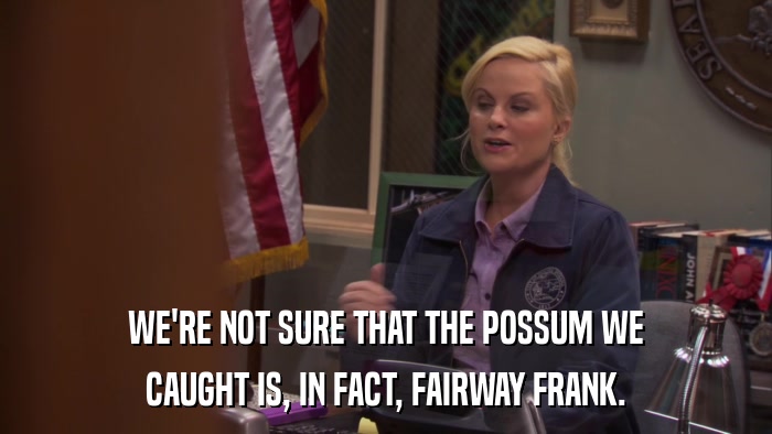 WE'RE NOT SURE THAT THE POSSUM WE CAUGHT IS, IN FACT, FAIRWAY FRANK. 