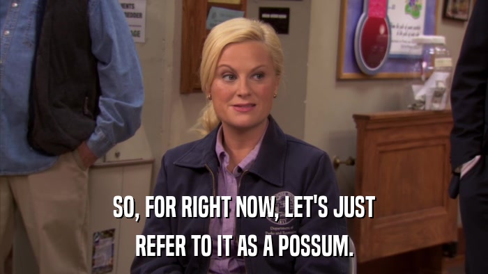 SO, FOR RIGHT NOW, LET'S JUST REFER TO IT AS A POSSUM. 