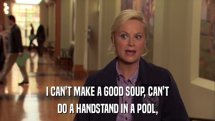 I CAN'T MAKE A GOOD SOUP, CAN'T DO A HANDSTAND IN A POOL, 