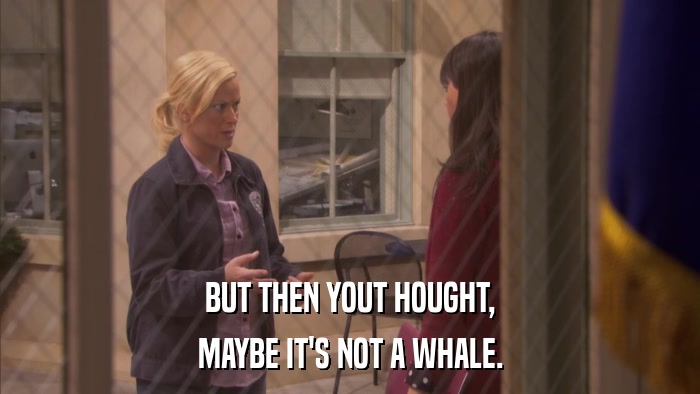 BUT THEN YOUT HOUGHT, MAYBE IT'S NOT A WHALE. 