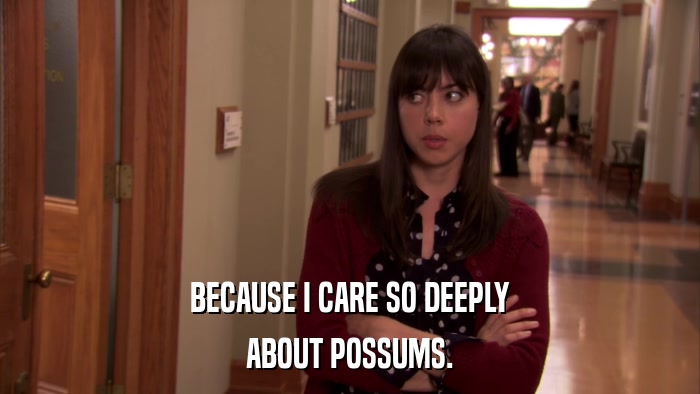BECAUSE I CARE SO DEEPLY ABOUT POSSUMS. 