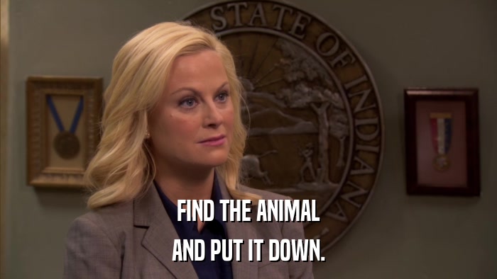 FIND THE ANIMAL AND PUT IT DOWN. 