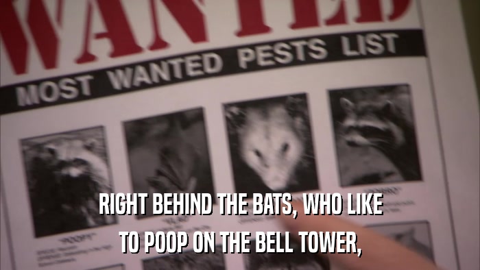 RIGHT BEHIND THE BATS, WHO LIKE TO POOP ON THE BELL TOWER, 
