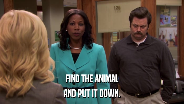 FIND THE ANIMAL AND PUT IT DOWN. 