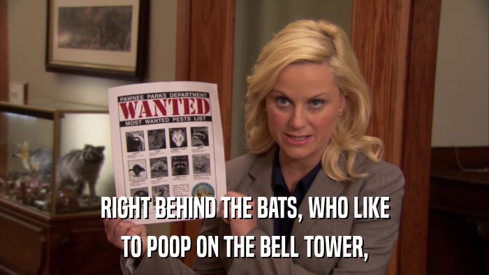 RIGHT BEHIND THE BATS, WHO LIKE TO POOP ON THE BELL TOWER, 