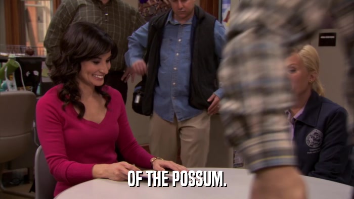 OF THE POSSUM.  