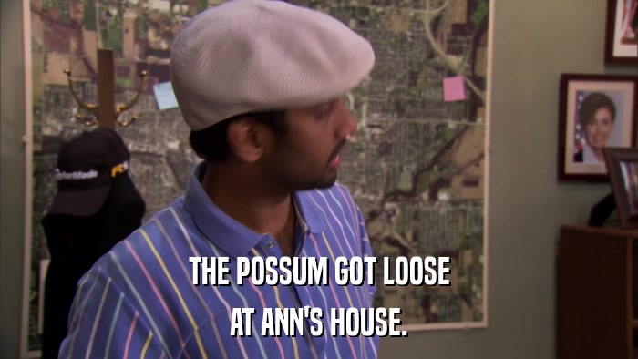 THE POSSUM GOT LOOSE AT ANN'S HOUSE. 