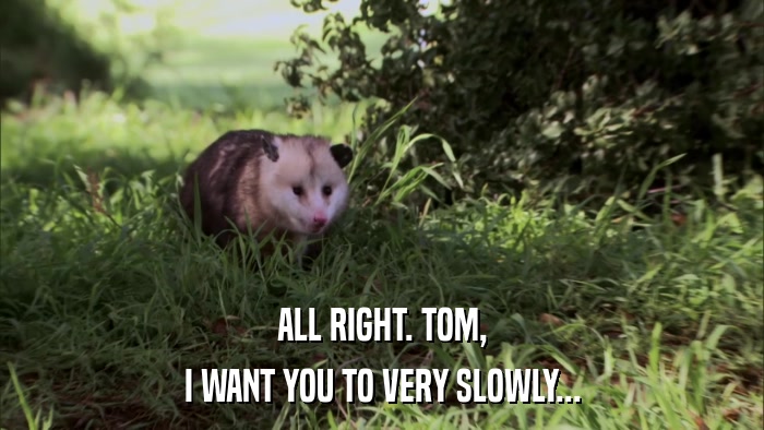ALL RIGHT. TOM, I WANT YOU TO VERY SLOWLY... 