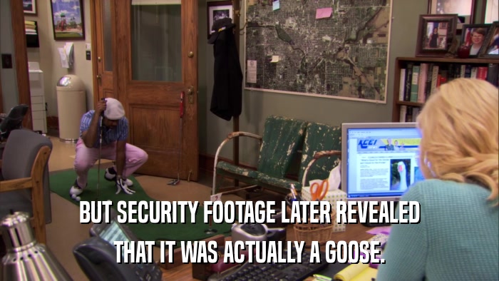 BUT SECURITY FOOTAGE LATER REVEALED THAT IT WAS ACTUALLY A GOOSE. 