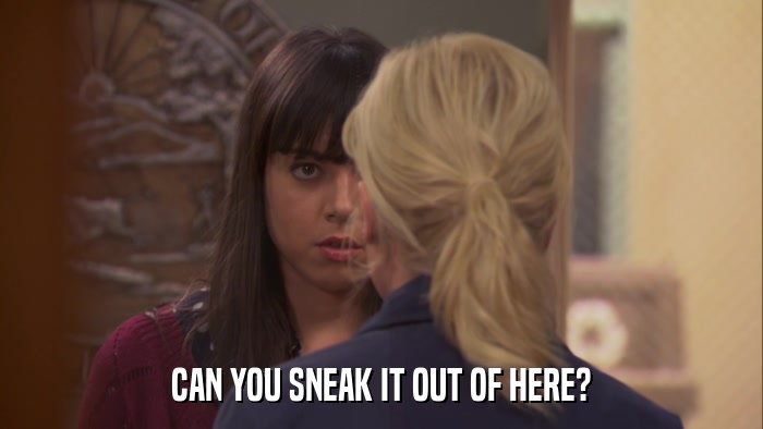 CAN YOU SNEAK IT OUT OF HERE?  