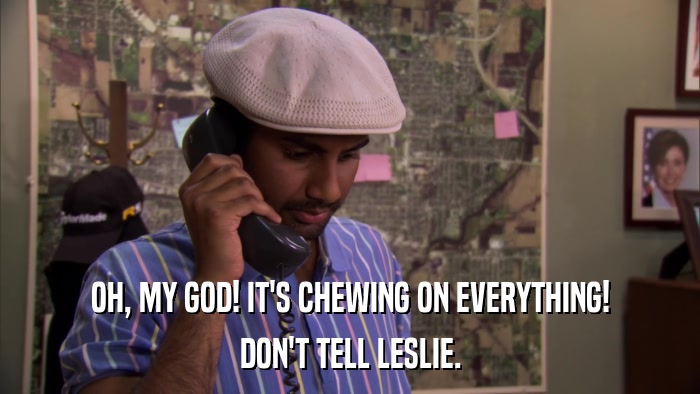 OH, MY GOD! IT'S CHEWING ON EVERYTHING! DON'T TELL LESLIE. 