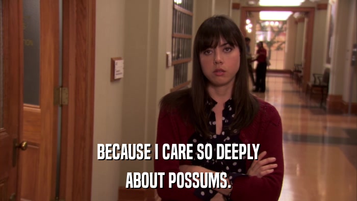 BECAUSE I CARE SO DEEPLY ABOUT POSSUMS. 
