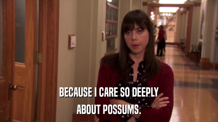 BECAUSE I CARE SO DEEPLY ABOUT POSSUMS. 