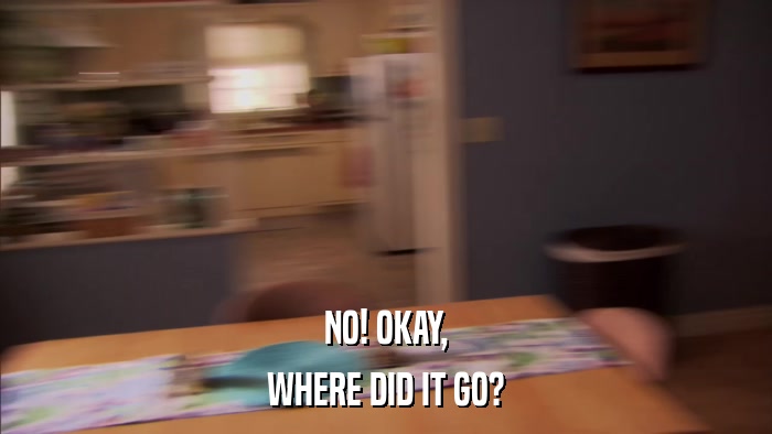 NO! OKAY, WHERE DID IT GO? 