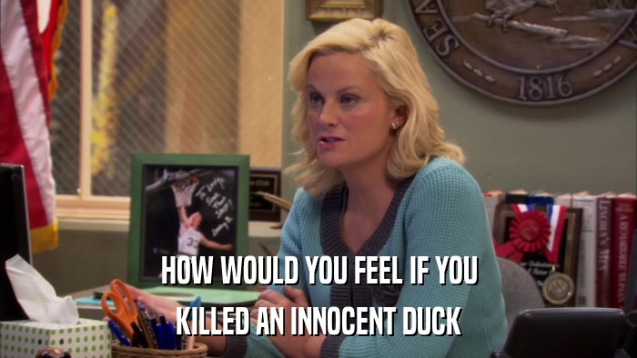 HOW WOULD YOU FEEL IF YOU KILLED AN INNOCENT DUCK 