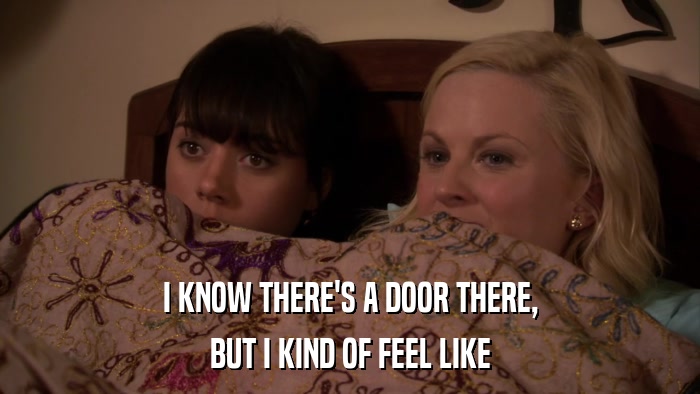 I KNOW THERE'S A DOOR THERE, BUT I KIND OF FEEL LIKE 