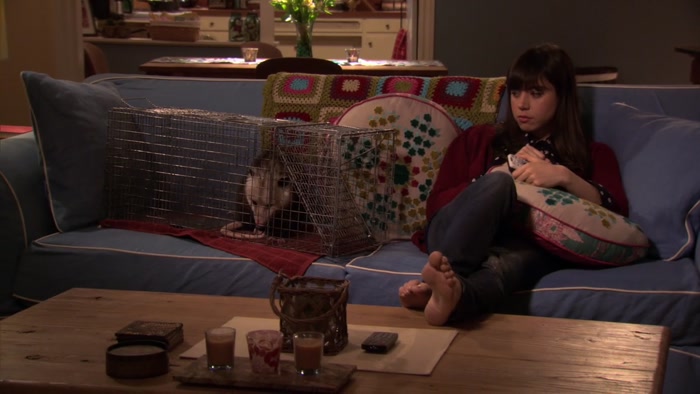 BABY MEERKATS DO NOT START FORAGING FOR FOOD UNTIL ABOUT ONE MONTH OLD. 