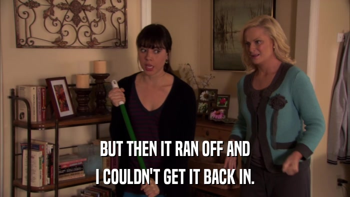 BUT THEN IT RAN OFF AND I COULDN'T GET IT BACK IN. 