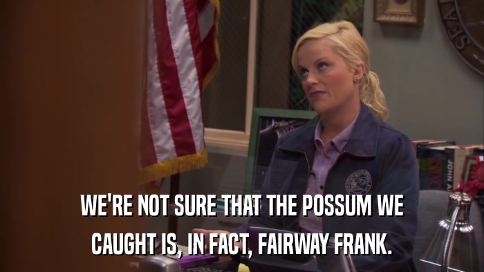 WE'RE NOT SURE THAT THE POSSUM WE CAUGHT IS, IN FACT, FAIRWAY FRANK. 