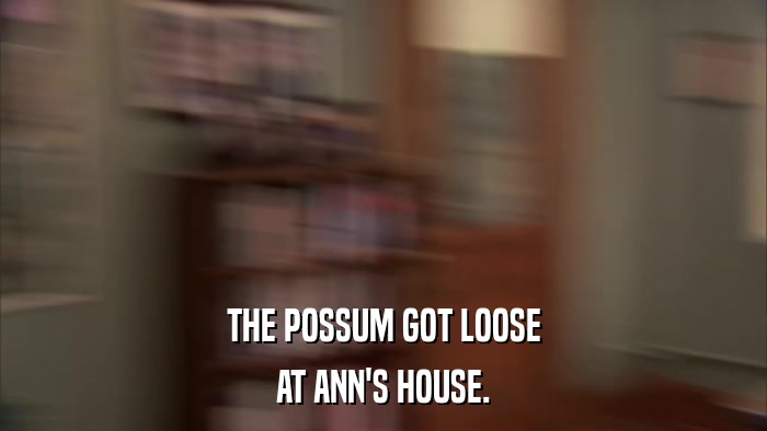 THE POSSUM GOT LOOSE AT ANN'S HOUSE. 