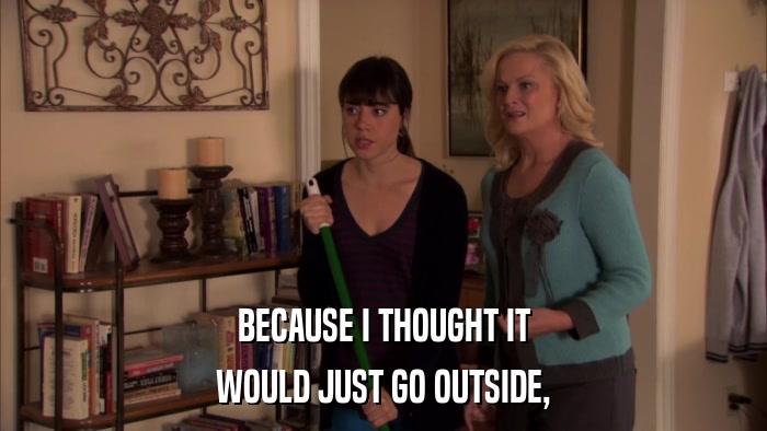 BECAUSE I THOUGHT IT WOULD JUST GO OUTSIDE, 