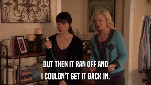 BUT THEN IT RAN OFF AND I COULDN'T GET IT BACK IN. 