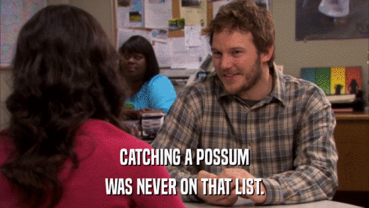 CATCHING A POSSUM WAS NEVER ON THAT LIST. 