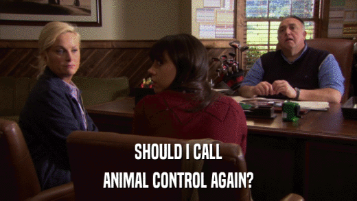 SHOULD I CALL ANIMAL CONTROL AGAIN? 