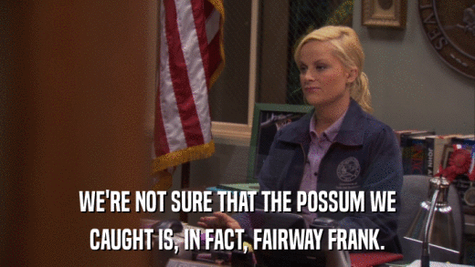 WE'RE NOT SURE THAT THE POSSUM WE CAUGHT IS, IN FACT, FAIRWAY FRANK. 
