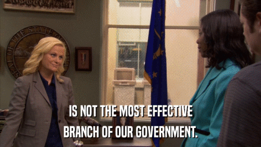 IS NOT THE MOST EFFECTIVE BRANCH OF OUR GOVERNMENT. 