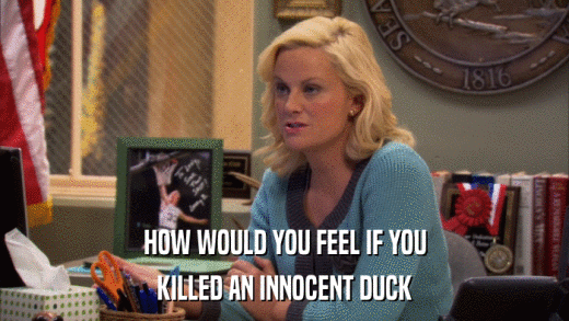 HOW WOULD YOU FEEL IF YOU KILLED AN INNOCENT DUCK 