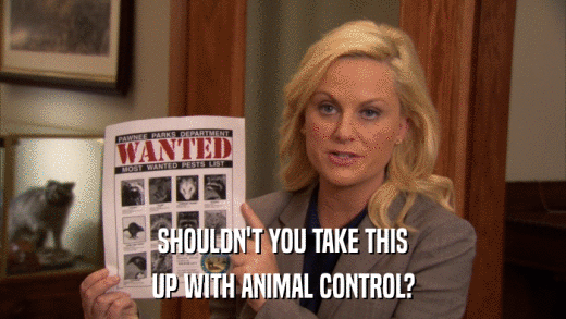 SHOULDN'T YOU TAKE THIS UP WITH ANIMAL CONTROL? 