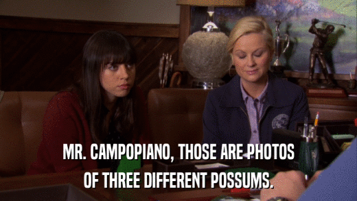 MR. CAMPOPIANO, THOSE ARE PHOTOS OF THREE DIFFERENT POSSUMS. 