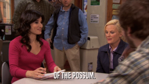 OF THE POSSUM.  