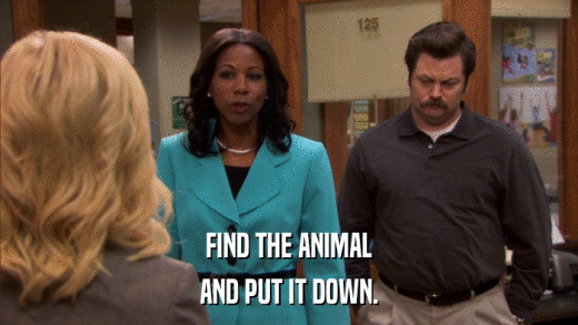 FIND THE ANIMAL AND PUT IT DOWN. 
