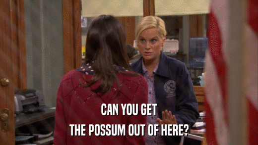 CAN YOU GET THE POSSUM OUT OF HERE? 