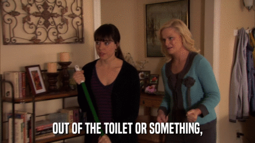 OUT OF THE TOILET OR SOMETHING,  
