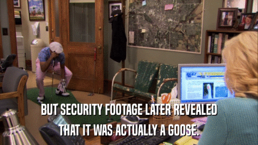 BUT SECURITY FOOTAGE LATER REVEALED THAT IT WAS ACTUALLY A GOOSE. 