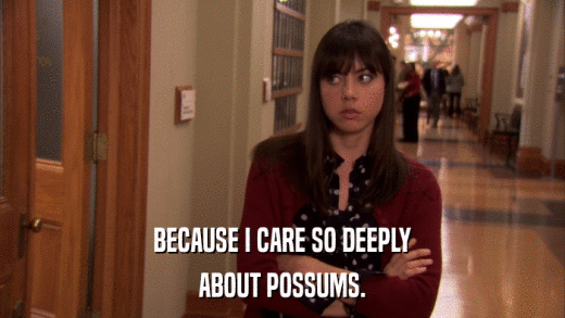 BECAUSE I CARE SO DEEPLY ABOUT POSSUMS. 